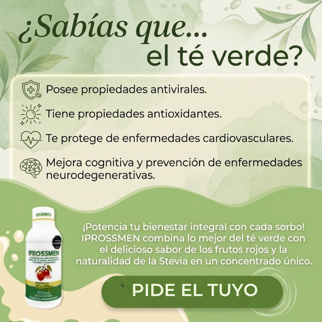 Iprossmen Concentrado de Té Verde con Frutas y Antioxidantes Endulzado con Stevia